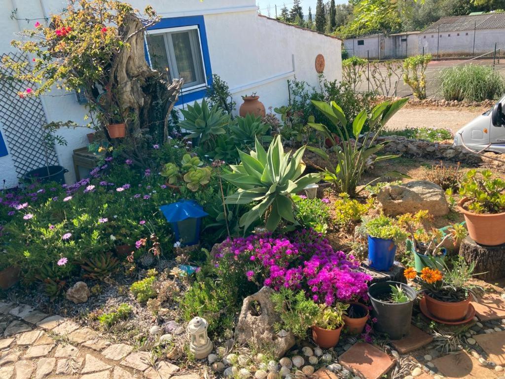 Villa Casa Joy Guia  Exterior foto